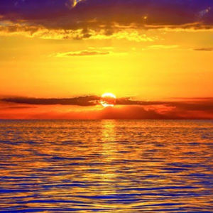 Meet your Posher, Tatum